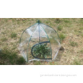 Umbrella Grow House